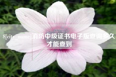 博白消防中级证书电子版查询多久才能查到