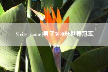 博白男子5000米世界冠军