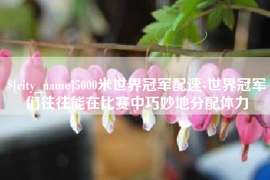 博白5000米世界冠军配速-世界冠军们往往能在比赛中巧妙地分配体力