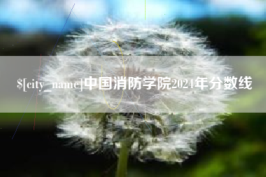 博白中国消防学院2024年分数线