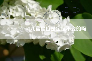 博白九宫星位是定位不变的吗