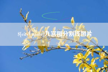 博白九宫图分割线图片