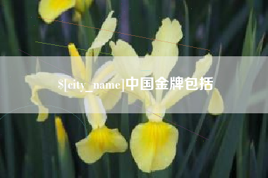 博白中国金牌包括