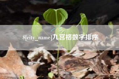 博白九宫格数字排序