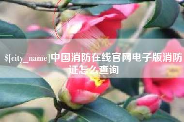 博白中国消防在线官网电子版消防证怎么查询