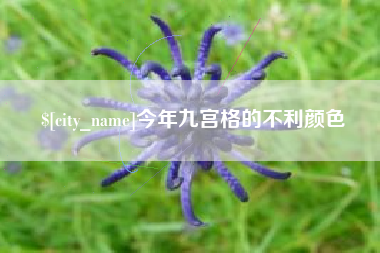 博白今年九宫格的不利颜色