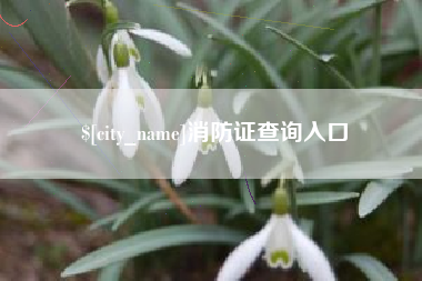 博白消防证查询入口
