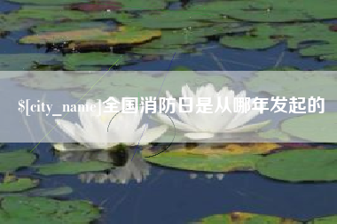 博白全国消防日是从哪年发起的