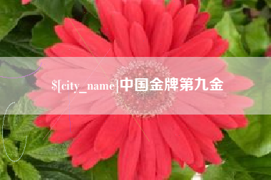 博白中国金牌第九金
