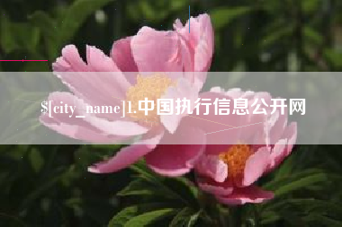 博白1.中国执行信息公开网