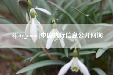 博白中国执行信息公开网询