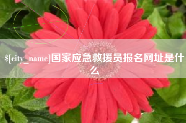 博白国家应急救援员报名网址是什么