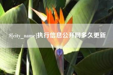 博白执行信息公开网多久更新