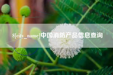 博白中国消防产品信息查询