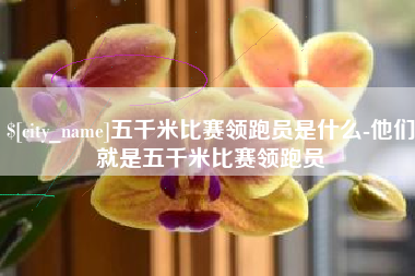 博白五千米比赛领跑员是什么-他们就是五千米比赛领跑员