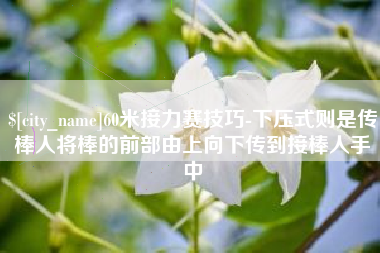 博白60米接力赛技巧-下压式则是传棒人将棒的前部由上向下传到接棒人手中