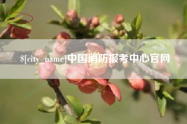 博白中国消防报考中心官网
