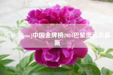 博白中国金牌榜2024巴黎奥运会最新