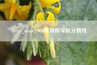 博白2020年消防学院分数线