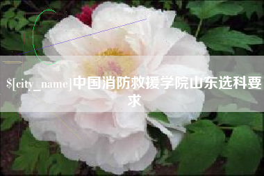 博白中国消防救援学院山东选科要求