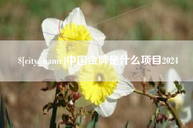 博白中国金牌是什么项目2024