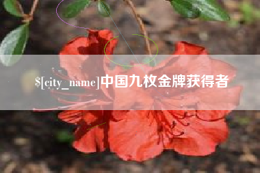 博白中国九枚金牌获得者