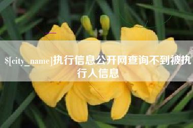 博白执行信息公开网查询不到被执行人信息
