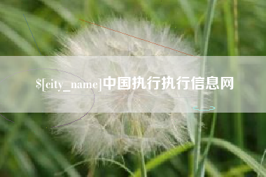 博白中国执行执行信息网