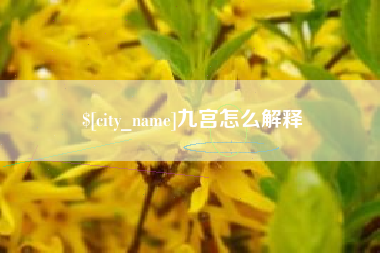 博白九宫怎么解释