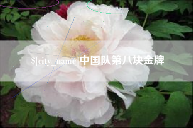 博白中国队第八块金牌