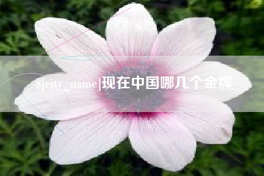 博白现在中国哪几个金牌