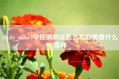 博白中控消防证怎么考取需要什么条件