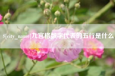 博白九宫格数字代表的五行是什么