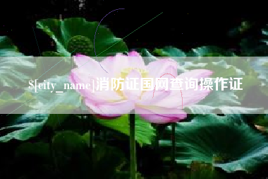 博白消防证国网查询操作证