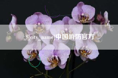 博白中国消防官方