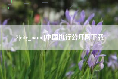 博白中国执行公开网下载