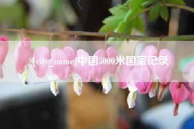 博白中国5000米国家记录