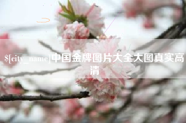 博白中国金牌图片大全大图真实高清