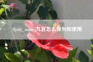 博白九宫怎么排列和使用