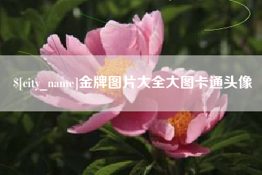 博白金牌图片大全大图卡通头像