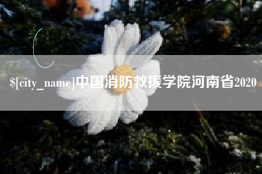 博白中国消防救援学院河南省2020